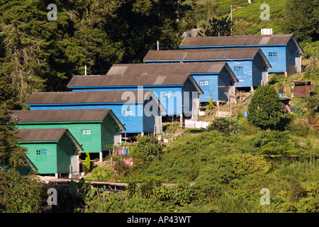Workers' accomodation on the Sungai Palas Boh Tea Estate in the Cameron Highlands, Malaysia. Stock Photo