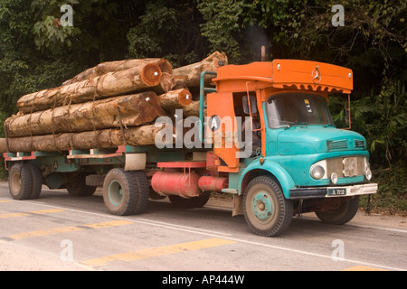 A truck used to transport felled trees stands drives in Pahang State, Malaysia. Stock Photo