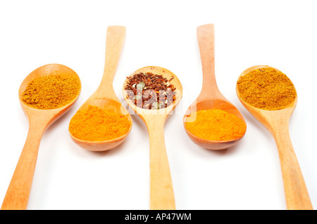 Assortment of spices in the spoons for prepare tasty food with shadow over a white background Stock Photo