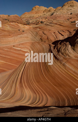 The Wave, Paria Canyon-Vermilion Cliffs Wilderness, National Monument, Arizona, Utah, USA Stock Photo