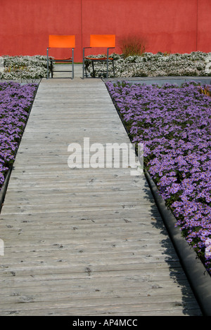 two single orange chairs at end of boardwalk lined with Aster flowers Federal Garden Exhibition Munich Bavaria Germany Stock Photo