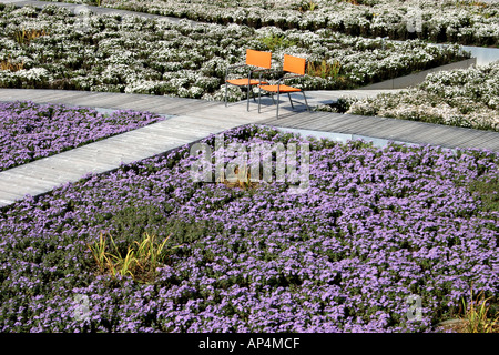 two single orange chairs on boardwalk amongst sea of purple white Aster flowerfield Federal Garden Show Munich Bavaria Germany Stock Photo