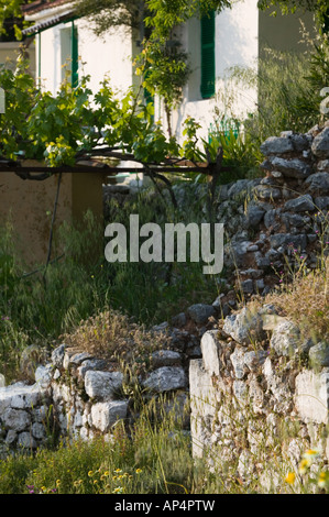 GREECE, Ionian Islands, KEFALONIA, Troianata: Farm View Stock Photo - Alamy