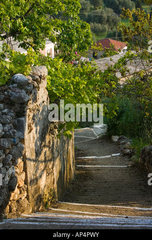 GREECE, Ionian Islands, KEFALONIA, Troianata: Farm View Stock Photo - Alamy