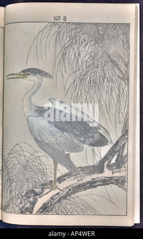 Bird and flower illustrations by Keinen: summer 1891 page 10 Stock Photo