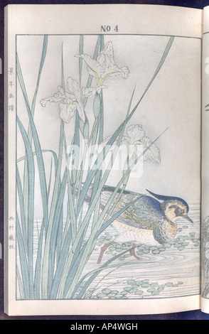 Bird and flower illustrations by Keinen: summer 1891 page 11 Stock Photo