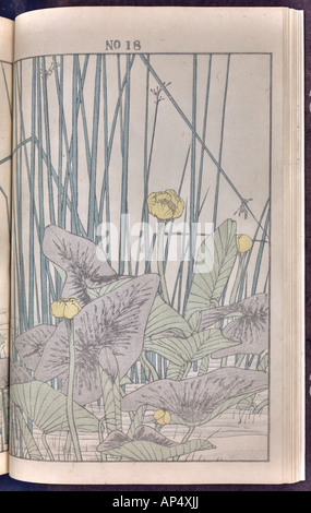Bird and flower illustrations by Keinen: summer 1891 page 28 Stock Photo