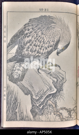 Bird and flower illustrations by Keinen: summer 1891 page 45 Stock Photo