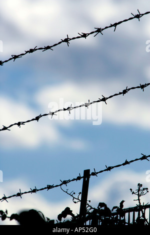 Barbed Wired Against Sky Stock Photo