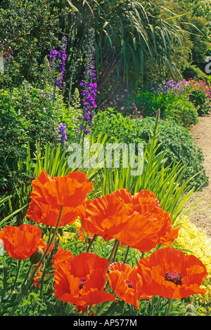 Flower borders at Brodick Castle Gardens Isle of Arran Stock Photo