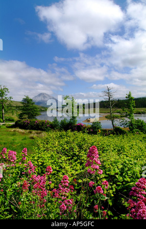 Errigal Mountain, County Donegal, Ireland Stock Photo