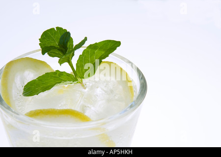Fresh alcohol drink on a white background Stock Photo