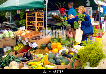 Fresh fruit and produce at the Fort Garry community farmers market in Winnipeg, Manitoba Canada Stock Photo