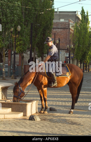 USA, Oregon, Portland, Mounted Officer lets his mount drink from the Skidmore Fountain Stock Photo