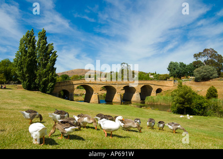 Richmond Bridge Stock Photo