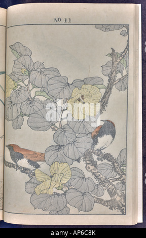 Bird and flower illustrations by Keinen: summer 1891 page 20 Stock Photo