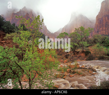 Virgin River in the rain at the Court of the Patriarchs in Zion National Park in Utah Stock Photo