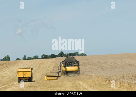 Tractor and combine harvester collecting the grain during harvesting England Stock Photo