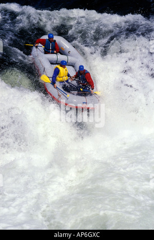 Rafters taking the plunge at Husum falls (MR) Stock Photo