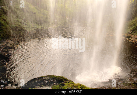 At 30 metres Henrhyd Waterfall is the highest in Brecon Beacons National Park Powys Wales UK view from behind the falls Stock Photo