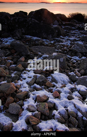 Coastal landscape at Särö Västerskog, Halland, Sweden Stock Photo