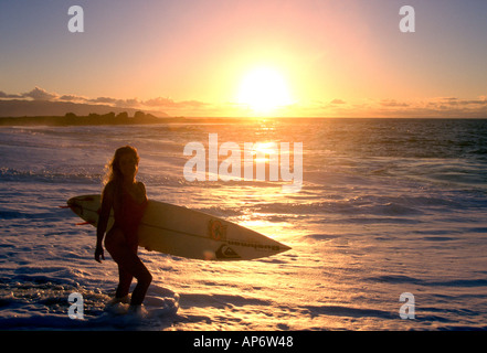 Female surfer carrying board at sunrise, North Shore, Oahu, Hawaii Stock Photo