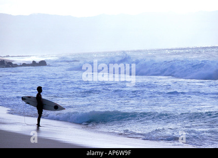 Surfer standing with board, view to sea, North Shore, Oahu, Hawaii Stock Photo