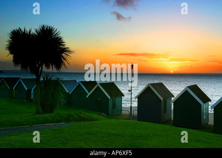 beach huts palm tree Gurnard sunset Isle of Wight England UK Stock Photo