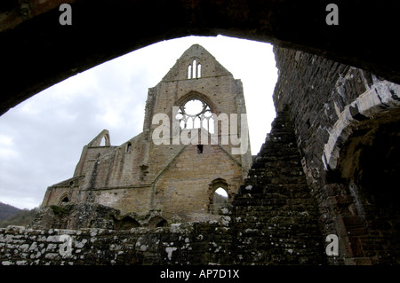 Detail shot of Tintern Abbey in the Wye Valley founded by Cistercian Monks in 1131 Stock Photo