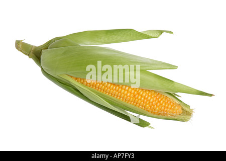 Corn on the Cob Stock Photo