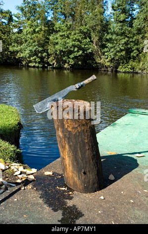 A machete used for preparing coconuts is left embedded in a log at the edge of the lake, Guama, Peninsula de Zapata, Cuba Stock Photo