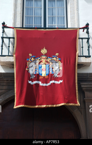 Flag of autonomous region of Portugal - Madeira: yellow ...