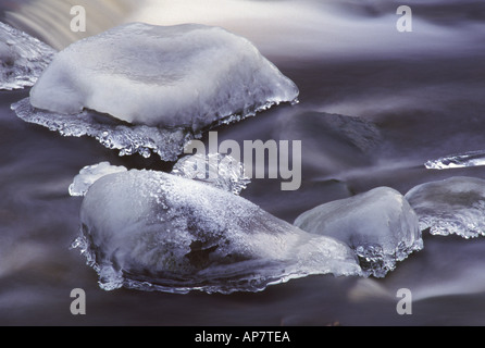 Ice formations on river stones in the Water of Leith, Edinburgh, Scotland, UK Stock Photo