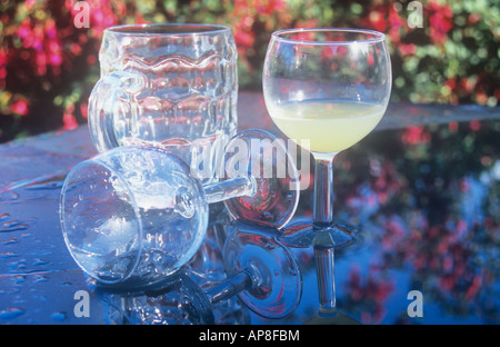 Empty beer mug and wineglasses one overturned and one with lemon or grapefruit juice on wet black table with red bush behind Stock Photo