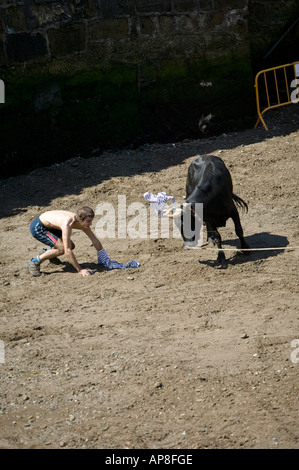 Bull charging man after ripping t shirt from his back with horns Sokamuturra bull running event Algorta Basque Country Spain Stock Photo