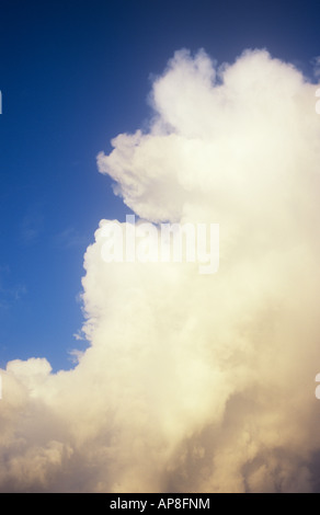 Gold and grey cumulus storm clouds gathering and billowing against blue evening sky Stock Photo