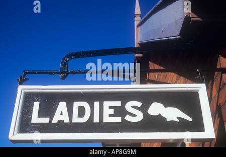 Old-fashioned carved wooden sign hanging from orange brick wall with pointing hand stating Ladies under deep blue sky