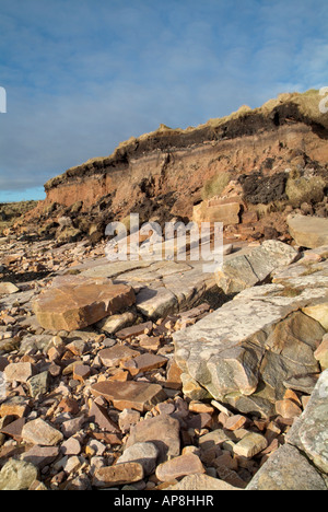 dh Coastal erosion EROSION UK Grass bank corroded away below field fence Stock Photo