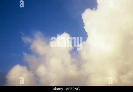 Gold and grey cumulus storm clouds gathering and billowing against blue evening sky Stock Photo