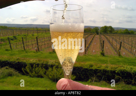 English champagne from grapes grown on the South Downs in East Sussex Picture by Andrew Hasson 2004 Stock Photo