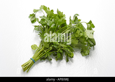 Flat Leaf Parsley Stock Photo