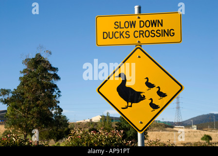 Road sign, warning of ducks crossing the road: slow down, ducks crossing Stock Photo