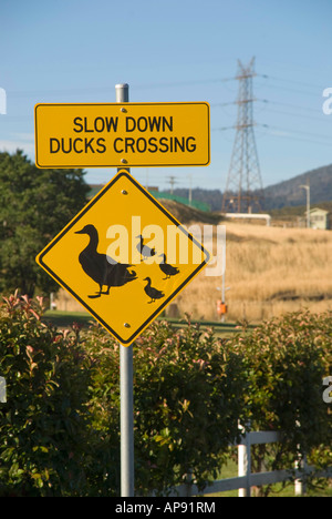 Road sign 'Ducks Crossing' Stock Photo