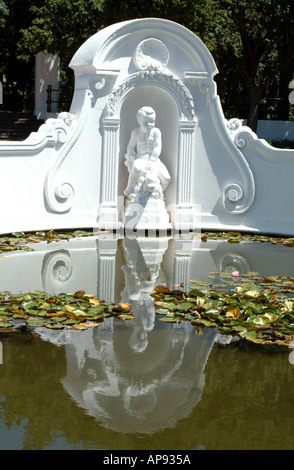 Cape Town South Africa RSA Reflections in Water Feature Company's Gardens in the city centre Stock Photo
