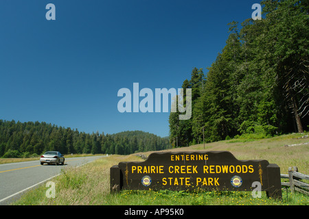 redwoods prairie