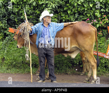 Senior man with traditional oxcart and oxen in San Jose, Costa Rica, Central America Stock Photo