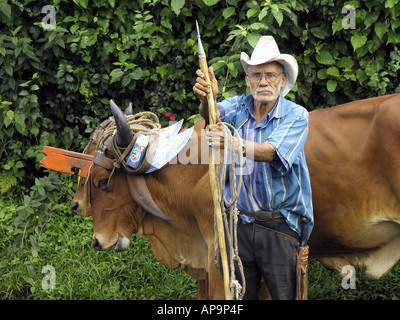 Senior man with traditional oxcart in San Jose, Costa Rica, Central America Stock Photo