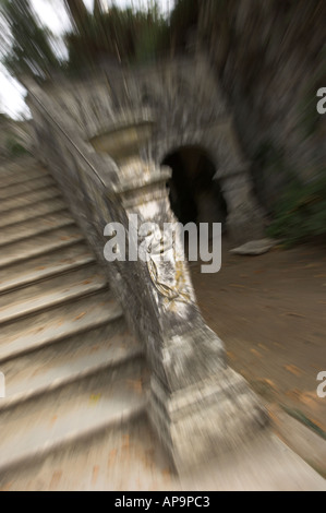 Blur dragon Stone head stairs in Moserrate palace, Sintra, Portugal, Europe Stock Photo