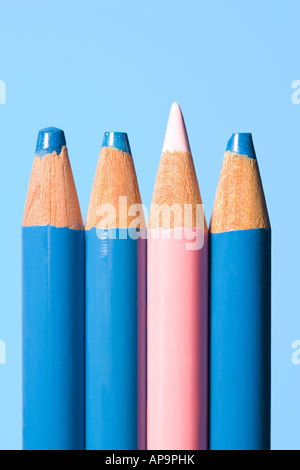 Pink pencil with blue pencils Stock Photo