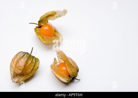 Physalis fruit Stock Photo